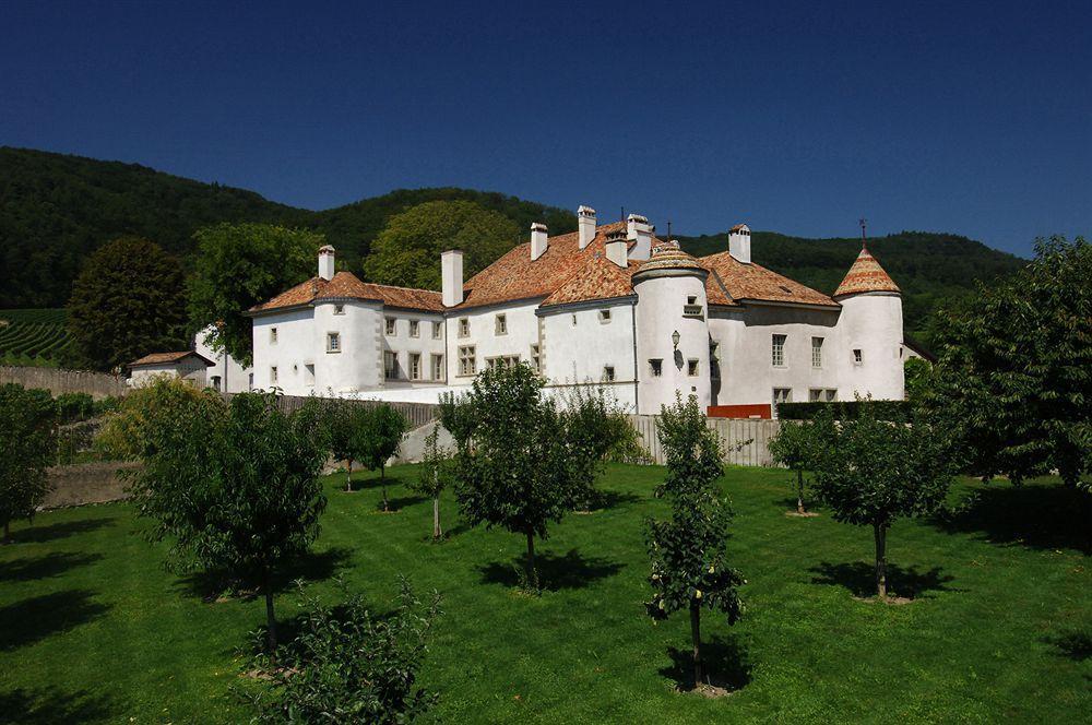 Chateau Le Rosey Hotel Nyon Exterior photo